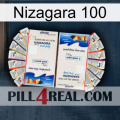 Nizagara 100 kamagra1